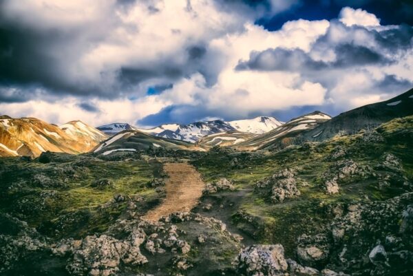 Carving a new path going forward | HR Features - HR Magazine | HR Online