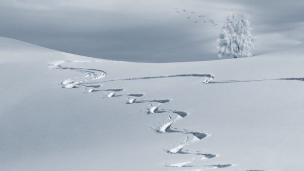 Feeling snowed under? | HR Features - HR Magazine | HR Online