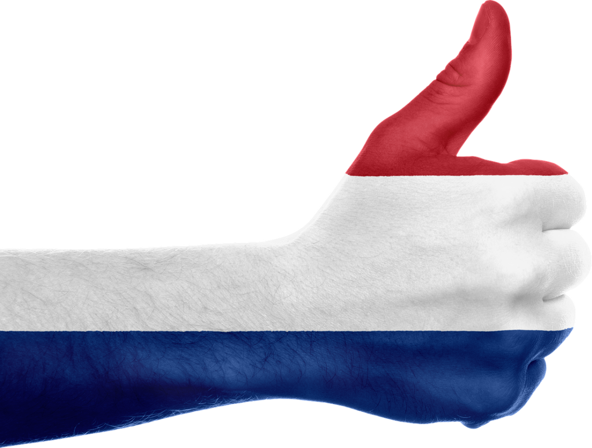 160 Dutch students hired as interns at 2010 Shanghai WorldExpo | HR News - HR Magazine | HR Online