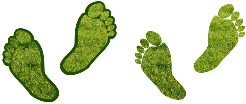 LOOP encourages carbon footprint reduction | HR News - HR Magazine | HR Online