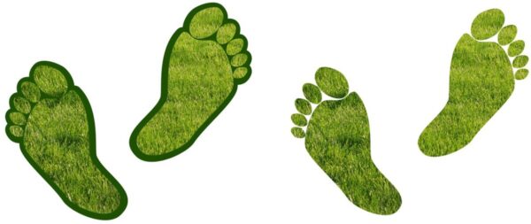 LOOP encourages carbon footprint reduction | HR News - HR Magazine | HR Online
