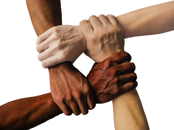 Diversifying training methods to enhance L&D effectiveness | HR Training - HR Magazine | HR Online