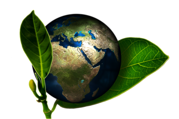 Environmental ISO 14001 now in easy reach of SMEs | HR News - HR Magazine | HR Online