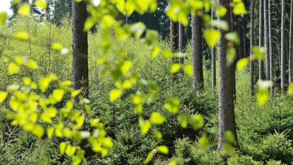 ExxonMobil on CSR | HR Features - HR Magazine | HR Online