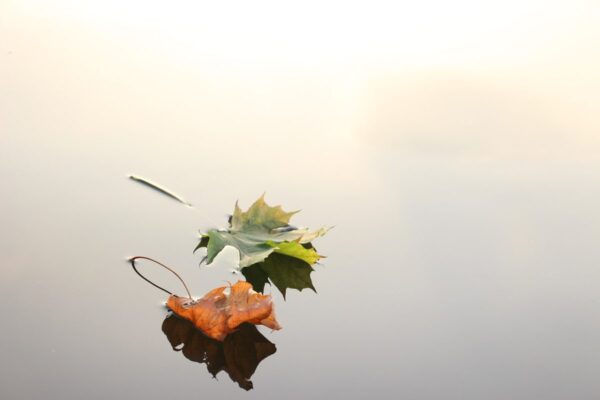Intrepreneurship & Entrepreneurship | HR Features - HR Magazine | HR Online
