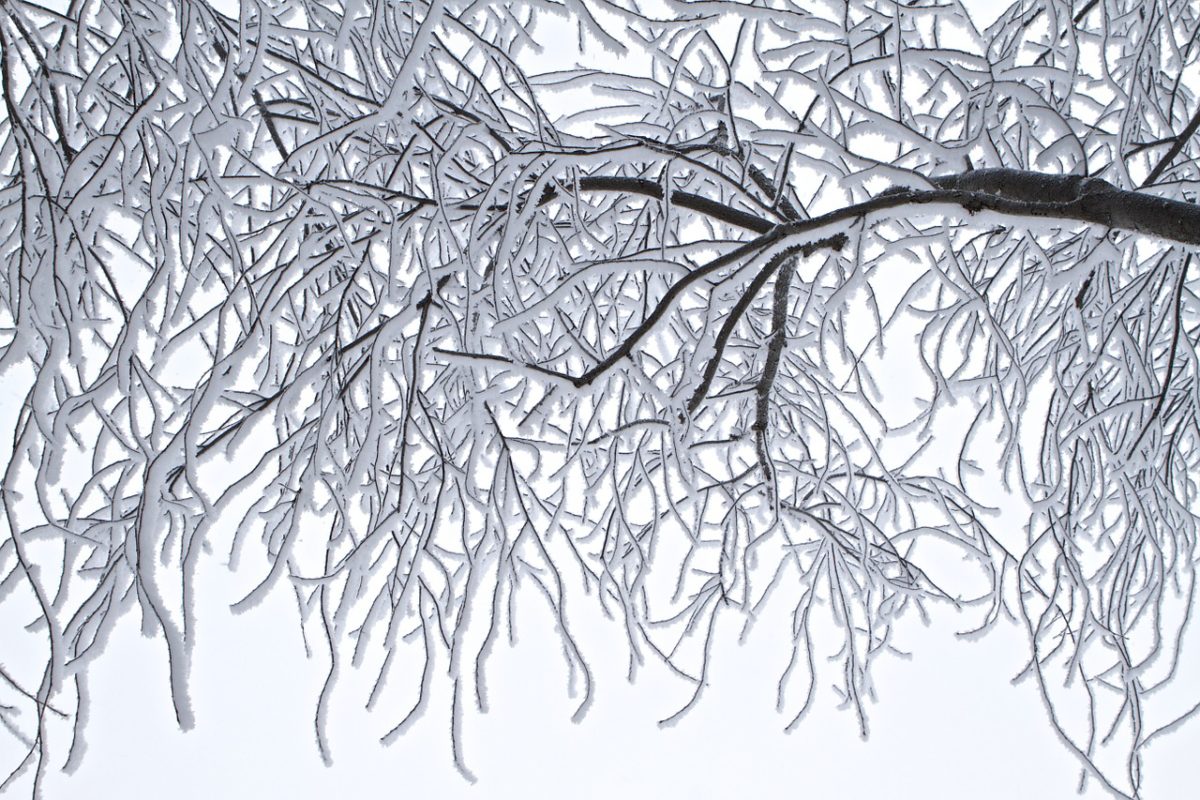 Winter chill freezes 3% of Asian salaries | HR Features - HR Magazine | HR Online