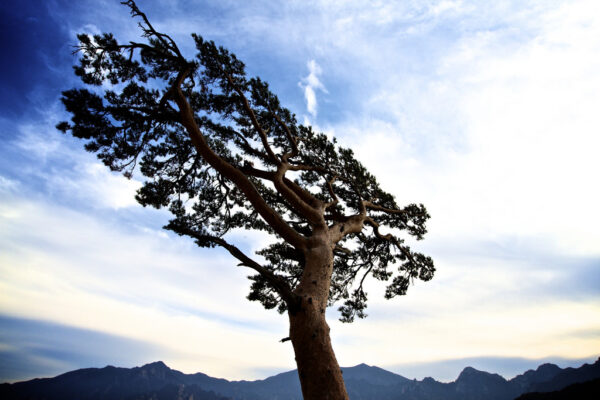 Companies focused on resilience in low-growth environment | HR News - HR Magazine | HR Online